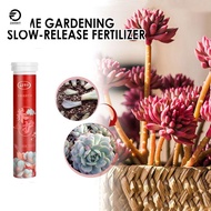 ZANWIT Potassium Organic Fertilizer Phosphorus Speed Up Slow-Release Tablet Sustained-release Growth Slow Release Agent Plants Potted
