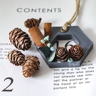 [SG Seller] Christmas Deco Dried Pine Cone Acorn (Art & craft)