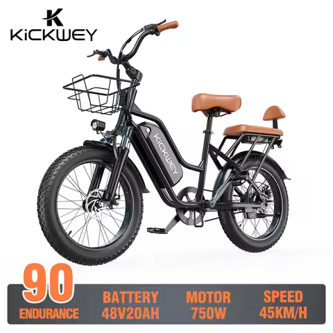 Kickwey LD20 adult E-bike 750W 48V 20Ah battery commute Electric Bike,20-inch Fat Tire E-Mountain bi