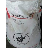 ( 25 KG ) Baja Buah MOP Behn Meyer canpotex muriate of potash