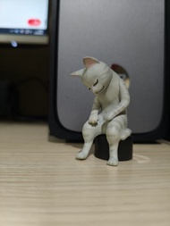 鐵拳浪子 矢吹丈 貓