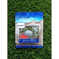 20G 1096 Leckat Triploid Seedless Watermelon Super Star Tembikai