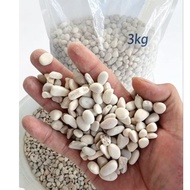 3kg cream stone/ white stone five-colored gravel stone/ brush stone aquarium decoration stone
