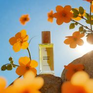 น้ำหอม Niran กลิ่น GOLDEN REVERIE ขนาด 10ml และ 50 ml  (นิรันดร์)