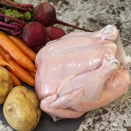 100 Pcs Poultry Shrink Wrap Bags with Zip Ties Silicone Straw for Chickens Rabbits Food Storage for 