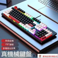 機械鍵盤 電競鍵盤 辦公鍵盤 有線鍵盤 靜音鍵盤 電腦鍵盤 外接鍵盤 茶軸 青軸 紅軸 多種燈效 拼色 104鍵