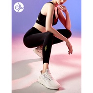 Bluebird Shark Pants - Ideal for Running, Sports & Yoga | Tone Abs and Glutes
