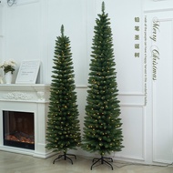 Christmas Encrypted Large Christmas Tree Green Pointed Simulation Slim Weight Loss Pencil Tree Chris