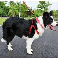 2m 3m Dog Walking Leash Dog Leash Dog Leash Strap Dog Leash Collar Vest Style Long Rope Dog Chain