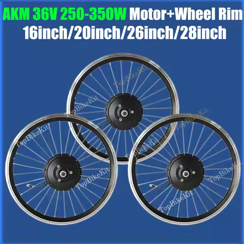 Ebike Brushless Gear AKM Hub Motor 36V 250W 350W Cassette Rear Motor Front Motor 16 20 26 28inch whe