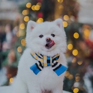 寵物-親子裝-聖誕圍巾