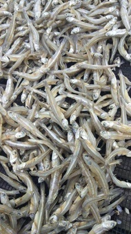 Ikan Bilis Mata Biru bulat Sabah Saiz L 1 kg