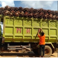 Truck bed net, palm cap net 4mm 4m x 6m
