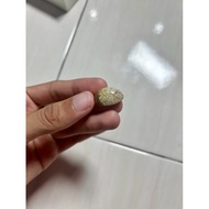 Batu Permata Fossil Nibong Untuk Diniagakan