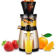 Hurom HU-19SGM slow juicer