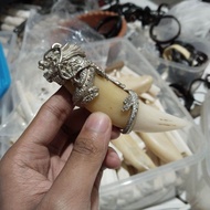 Liontin Taring Macan(HM) 100% Original Super Variasi alpaka custom