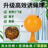 K6766 Bola Melekit Perangkap Lalat Buah (Set 3) / K6766 果蝇诱捕粘虫球 (1套3个) / K6766 Fruit Fly Trap Sticky
