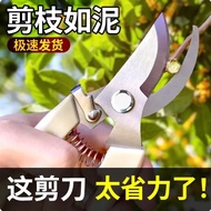Gardening Shears Pruning Shears Flower Shears Garden Shears Flower Shears Branches Fruit Tree Shears