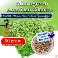 American Cilantro Microgreen Seeds (Imported from Australia) Non-GMO 50g