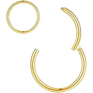 ORANGELOVE Hypoallergenic Nose Rings 20G 18G 16G 14G 12G 10G 8G 316l Surgical Steel Septum Jewelry H