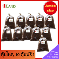 Uland ตุ้มตอนกิ่งจัมโบ้ผสมน้ำยาเร่งราก ชุด 10 ฟรี 1 ขนาด 5*8 นิ้ว พร้อมใช้ทันที ตุ้มตอนกิ่ง ตุ้มตอนกิ่งไม้ ตุ้มตอนต้นไม้ ตุ้มตอนกิ่งไม้ใหญ่