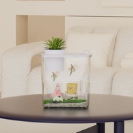 Fish Tank Aquarium Transparent Acrylic Fish Tank Landscaping Set with Lid Goldfish Tank Living Room 