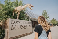 1 Day Bad Land & Dinosaur Museum Tour