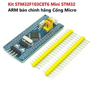 Mạch Nạp ST-Link V2 STM8 STM32 - ST Link V2 Kèm KIT STM32F103C8T6