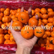 orderGo- Jeruk Santang / Shantang / Kecil Mandarin Imlek Manis
