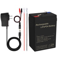 Talentcell 6V 6Ah LiFePO4 Battery Pack LF060A1, 2000 Cycles Rechargeable Lithium Iron Phosphate Batt
