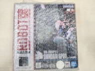 ROBOT魂 GP01