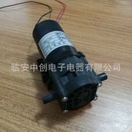 Spray Pump24v Corrosion-resistant Steam Gear Pump Pesticide Booster Pump Oil Pump Water Pump DC Self