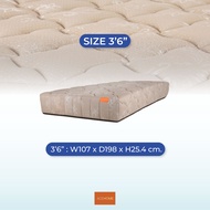 ZEN Collection ที่นอน ที่นอนยางพารา เสริมชั้นเมมโมรี่โฟม หนา 10 นิ้ว MUFFIN ขนาด 3.5ฟุต 5ฟุต 6ฟุต