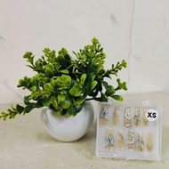 Hand Nails From Medium Size XS