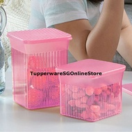 Tupperware 510ml and 800ml Family Mate Square Container Box Set of 2