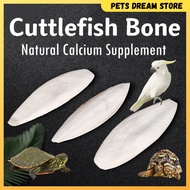 Cuttlefish Bone Reptile Tortoise Turtle Calcium Supplement Natural Cuttle fish bone cuttlebone bird 