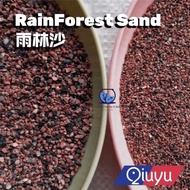 KFEI89 Qiuyu Nature Rain Forest Sand 1L for Tropical Fish Shrimp Plant Channa Sand 雨林沙