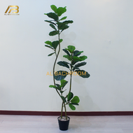 1 PAKET TANAMAN KETAPANG ARTIFICIAL AESTHETIC POHON KARET KEBO BUATAN DAUN TROPIS BESAR FICUS ELASTI