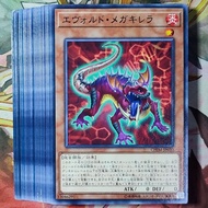 YuGiOh: Evolsaur / Evoldar Deck Parts | OCG Japan