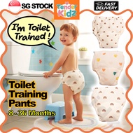 Potty Training Pants, Toilet Training, Pull Up Pants, Baby Training Pants, Potty Training Underwear