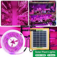 台灣現貨Led 20W 太陽能電池板生長燈全光譜 5V 生長燈條 2835 LED 植物燈, 用於植物溫室水培育  露天