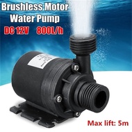 Ultra-quiet DC 12V Home 800LH Portable Brushless Motor Submersible Water Pump 5M for Cooling System Fountains Heater Portable