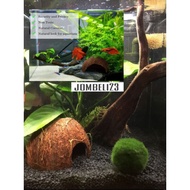 💥hot sale💥 tempurung kelapa hiasan akuarium / rumah ikan / deco rumah ikan limbata