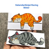 Cat Stickers, Cat Mager, Funny Cat, Cutting Cat Stickers