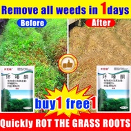 Remove all weeds in 3 days racun rumput paling kuat cepat mati ,500g buy1free1 racun rumput paling k