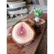 Wood Slice / Mahogany Wood Pieces 9-11cm