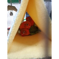 ((Hetai Bird Park) amigo Anti-Hooking Tent amigo Happy Bird House Bird Tent Warm Nest