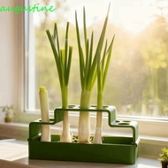 AUGUSTINE Sprout Planting Pot, Ventilated Lettuce Chives Seedling Tray, Garden Supplies Coriander Ce