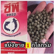 อาหารปลาดุก9922(เม็ดใหญ่)แบ่งขายกิโล20บาท