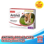 จัดส่งจากประเทศไทย จัดส่งที่รวดเร็ว Antinol DOG (1 กล่อง 60 caps) สุนัข อาหารเสริมบำรุงข้อ ลดอักเสบ หมดอายุ 08/2025